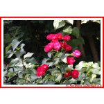 Impressionen Anlage_032.jpg